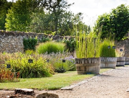 Jardin bouquetier