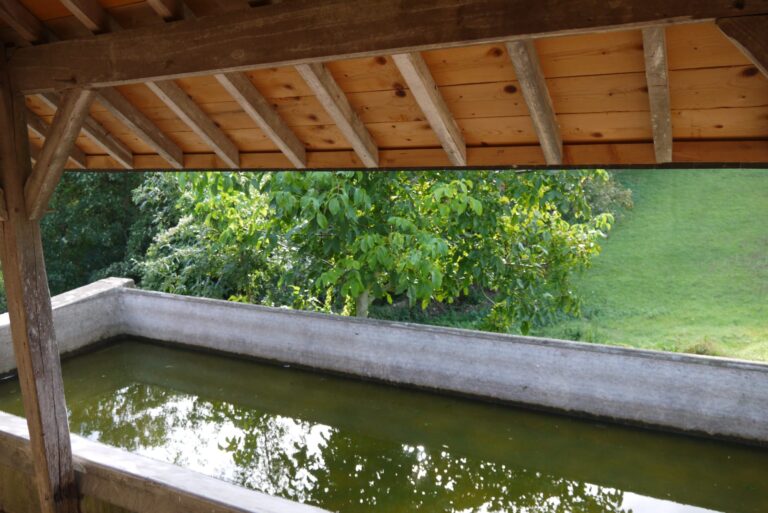 Vue du bassin du lavoir d'Aubigné-sur-Layon, début XXe siècle ©iKEROS