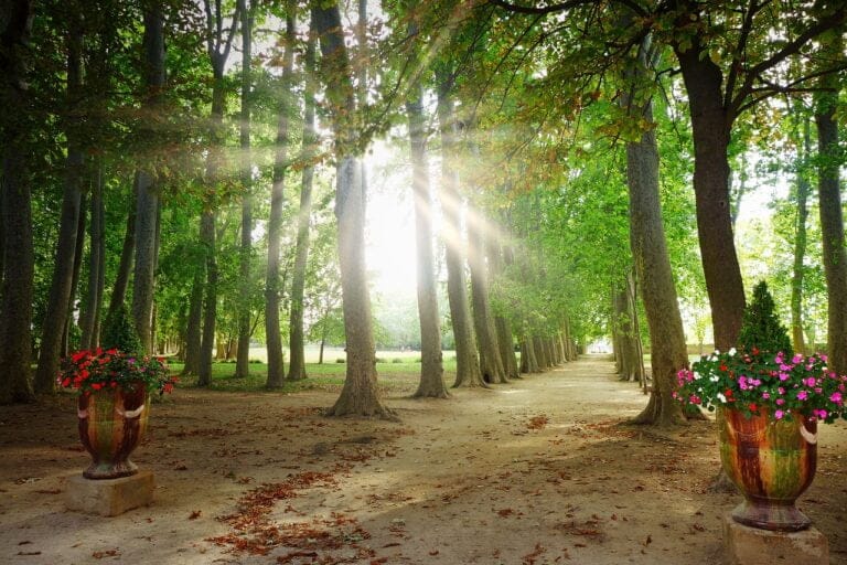 Parc et jardin
