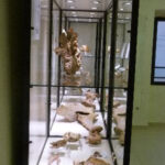 Musée Moulin Seigneurial