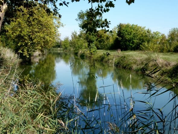 Canal de Charras