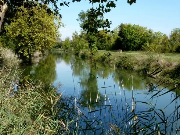 Canal de Charras