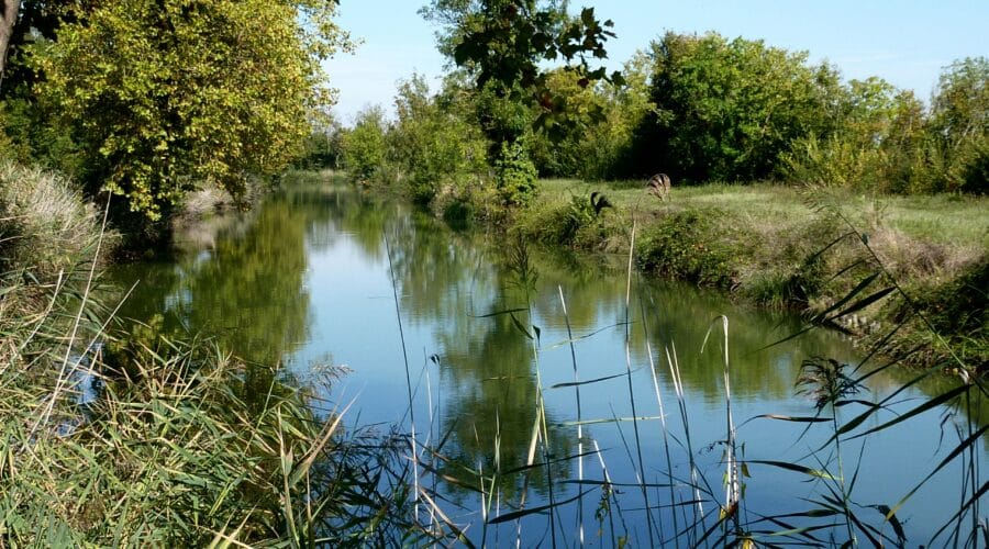 Canal de Charras
