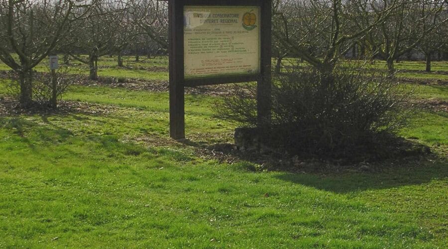 Verger Conservatoire des Croqueurs de Pommes