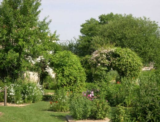 Jardin des Sens