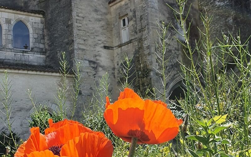 Commanderie des Antonins