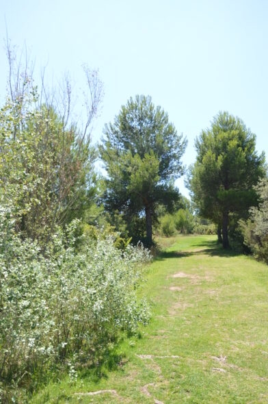 Colline Notre-Dame