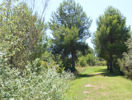 Colline Notre-Dame