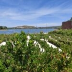 Parc Sainte-Catherine