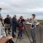 Tourvieille et les tours de Camargue