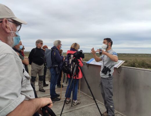 Tourvieille et les tours de Camargue
