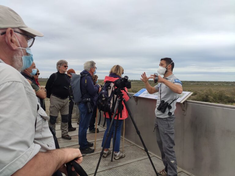 Tourvieille et les tours de Camargue