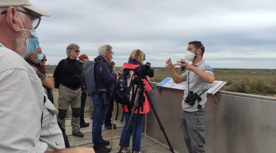 Tourvieille et les tours de Camargue