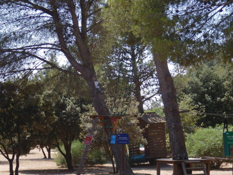 Grand Parc de Figuerolles – Paul Lombard