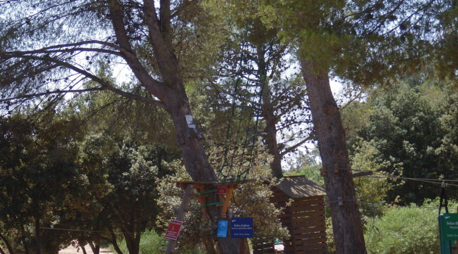 Grand Parc de Figuerolles - Paul Lombard