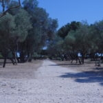 Les jardins méditerranéens du parc de Figuerolles