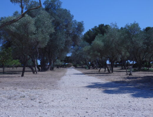 Les jardins méditerranéens du parc de Figuerolles