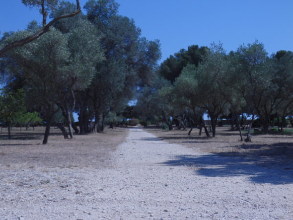 Les jardins méditerranéens du parc de Figuerolles