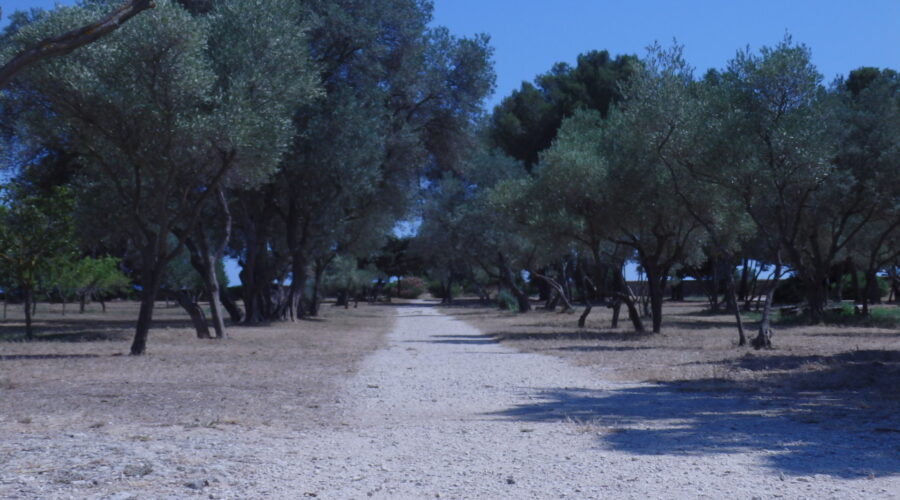 Les jardins méditerranéens du parc de Figuerolles