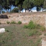 Site archéologique de Tholon