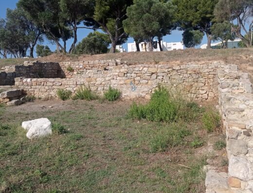 Site archéologique de Tholon