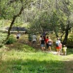 Ruines gallo-romaines des Cars