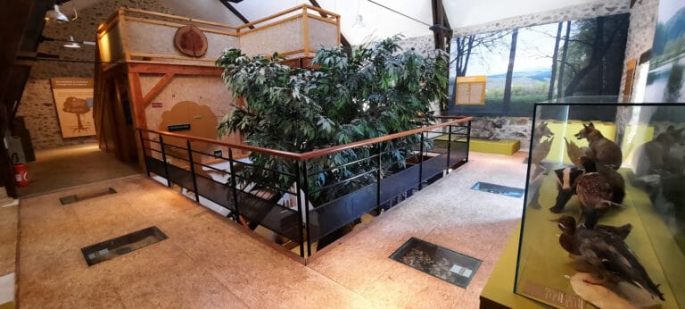 Maison de l&rsquo;arbre et de la nature