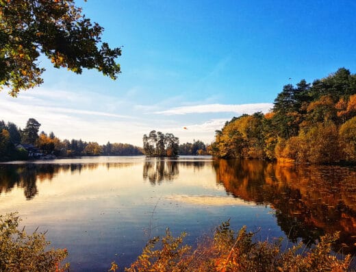 Saint-Priest-de-Gimel