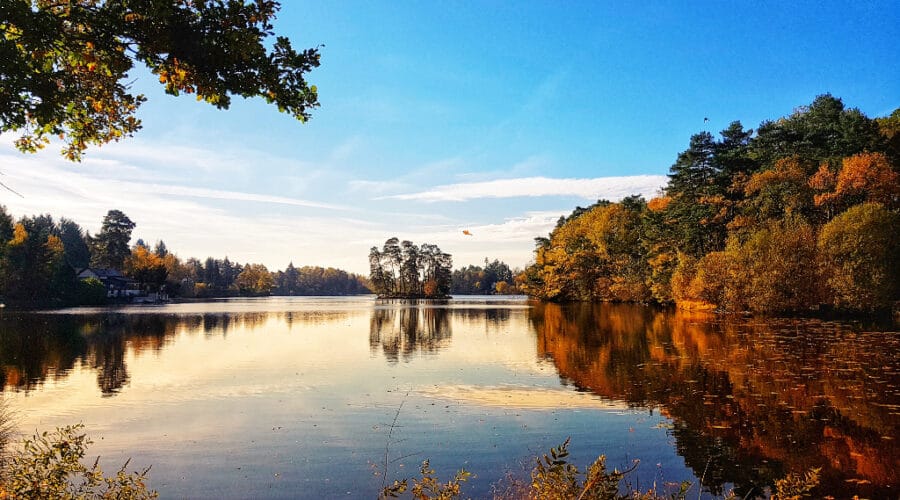 Saint-Priest-de-Gimel