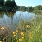 Saint-Pardoux-Corbier