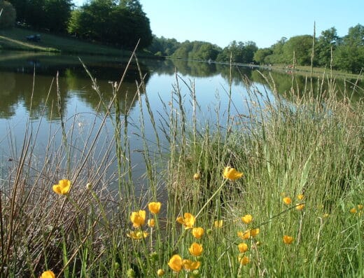Saint-Pardoux-Corbier