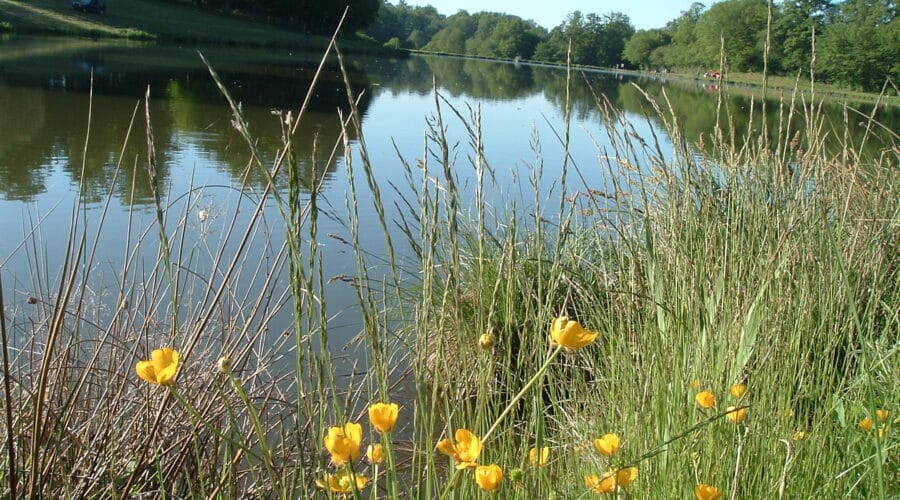 Saint-Pardoux-Corbier