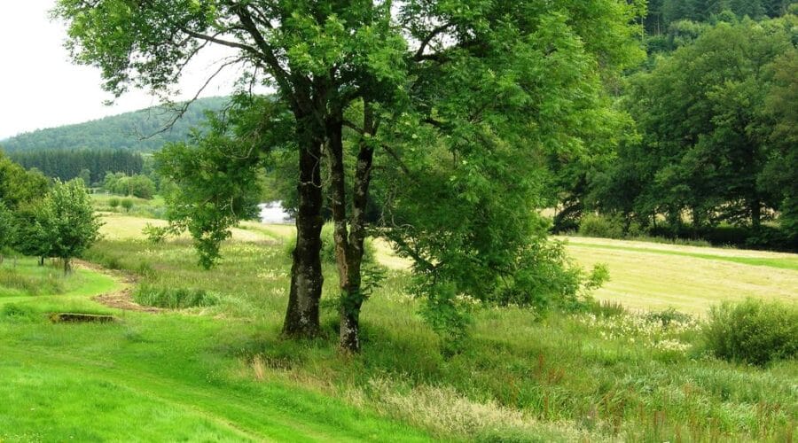 Espace Pêche Nature