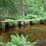 Les ponts Planches de St Martin