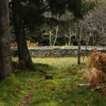 Tumulus du Puy de Plane