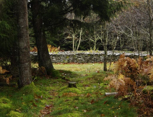 Tumulus du Puy de Plane