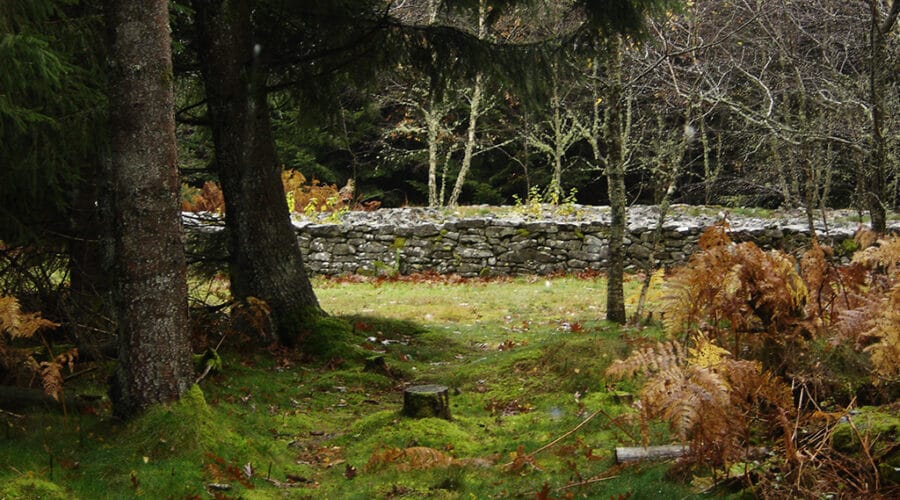 Tumulus du Puy de Plane
