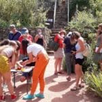 Jardin "Plantes ou Couleurs"