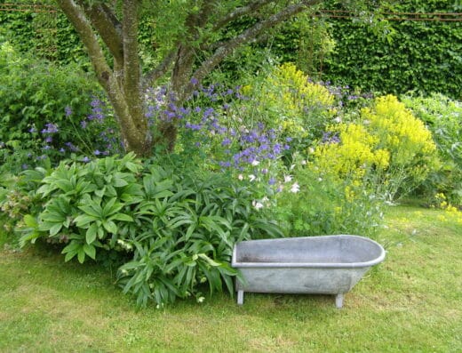 Un Jardin dans la Sagne