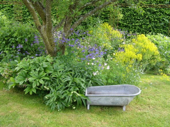 Un Jardin dans la Sagne
