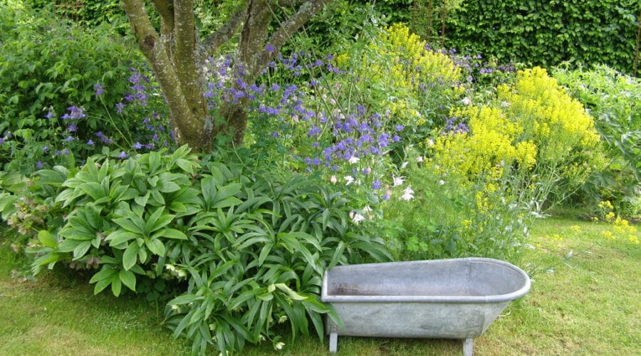 Un Jardin dans la Sagne