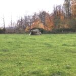 Dolmen des Granges