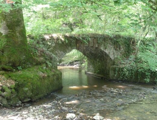 Le Pont gallo-romain et l’aqueduc du Bois Ferrut à Linard