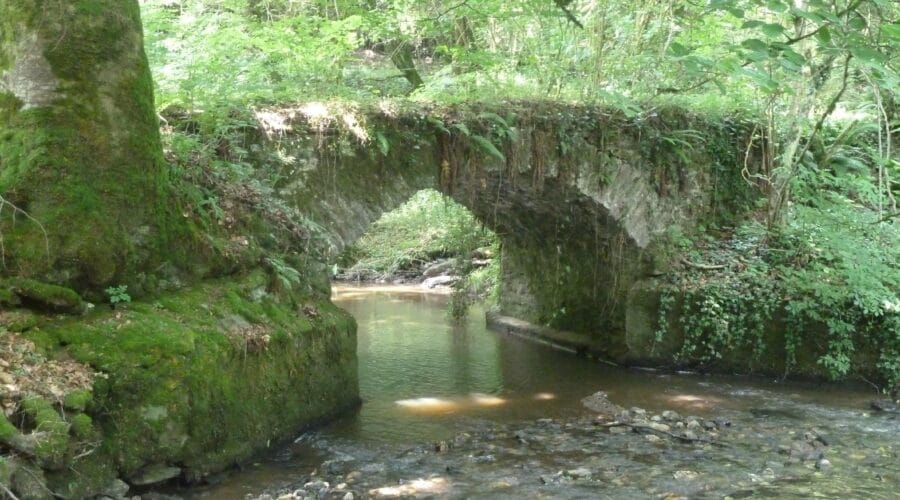 Le Pont gallo-romain et l’aqueduc du Bois Ferrut à Linard