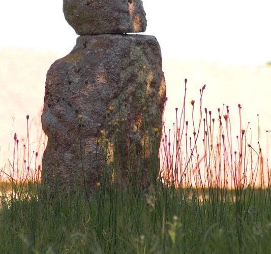 Le Marmot de Monismes