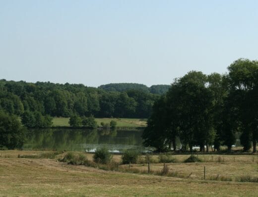L'étang de Puy Gaillard