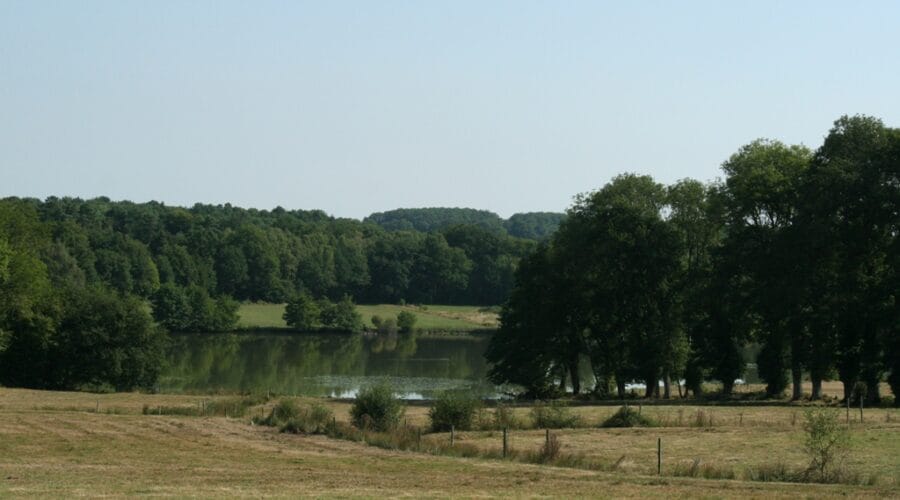 L'étang de Puy Gaillard