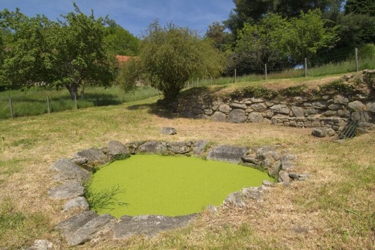 La fontaine et le lavoir de Larpent