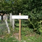 La fontaine et le lavoir du Chier