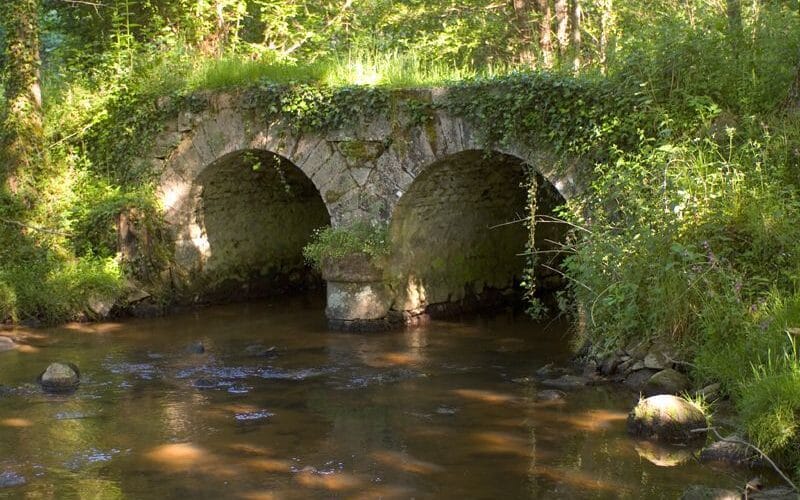 Le Pont de la Naute